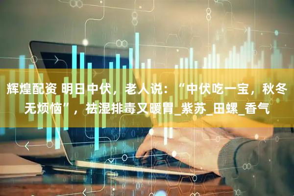辉煌配资 明日中伏，老人说：“中伏吃一宝，秋冬无烦恼”，祛湿排毒又暖胃_紫苏_田螺_香气