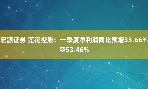 宏源证券 莲花控股：一季度净利润同比预增33.66%至53.46%