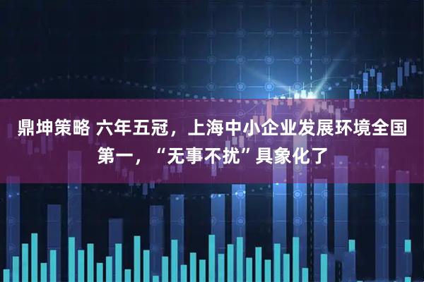 鼎坤策略 六年五冠，上海中小企业发展环境全国第一，“无事不扰”具象化了